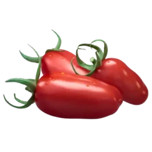 Bild von San Marzano Tomaten